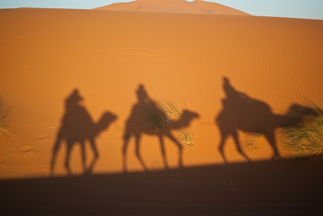 Kamel ridning i Marrakech